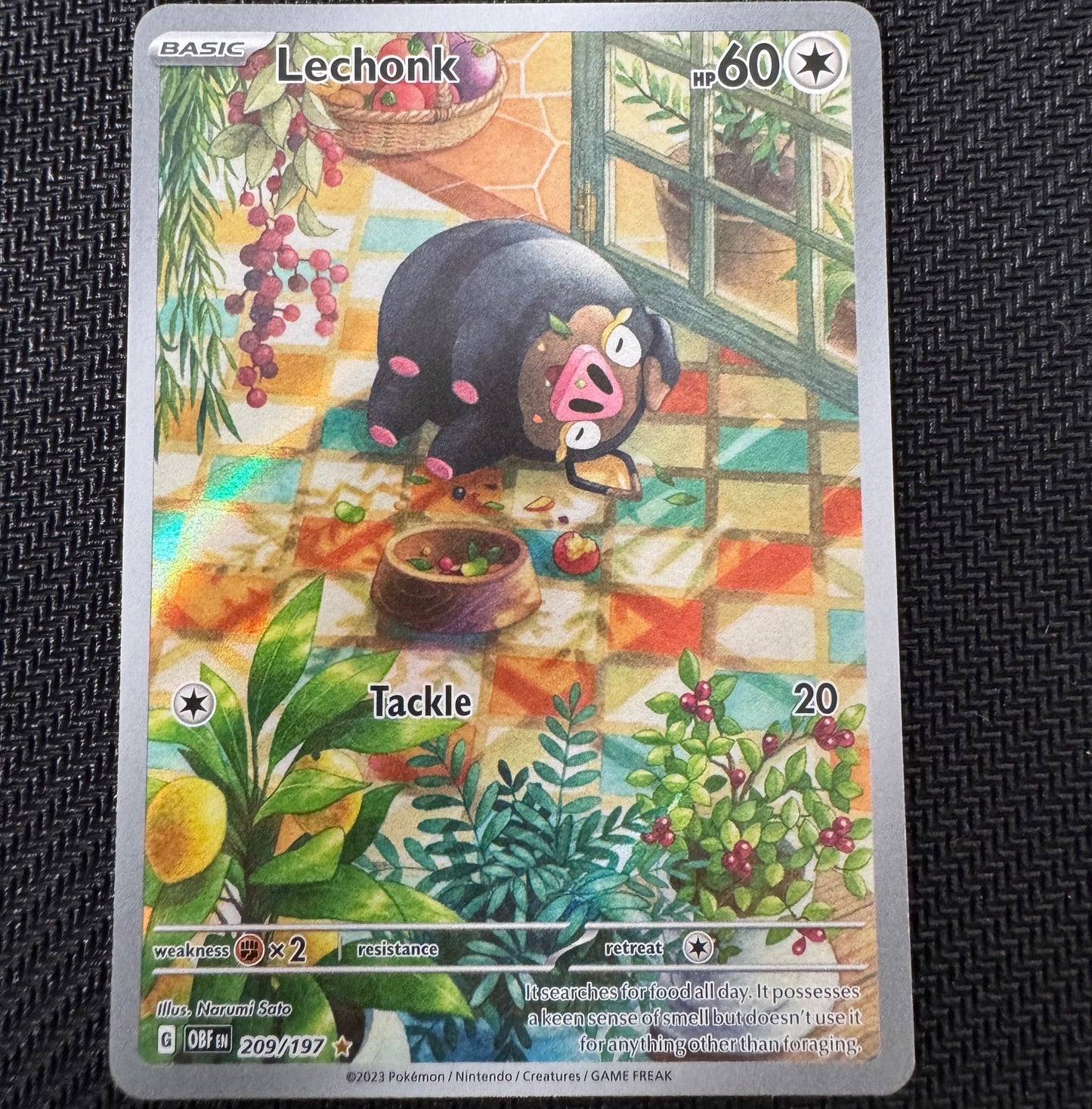 OBF209 Lechonk NM