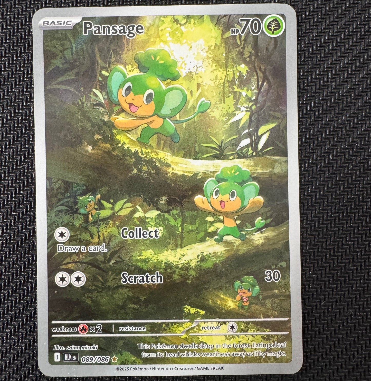 BLK089 Pansage NM